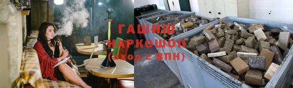 гидра Елабуга