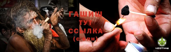 гидра Елабуга