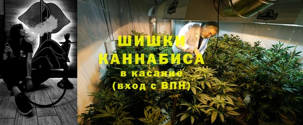 гашик Заводоуковск