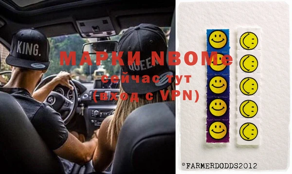 гидра Елабуга
