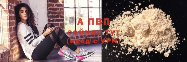 гидра Елабуга