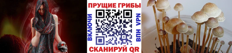 Купить Константиновск Псилоцибиновые грибы GOLDEN TEACHER